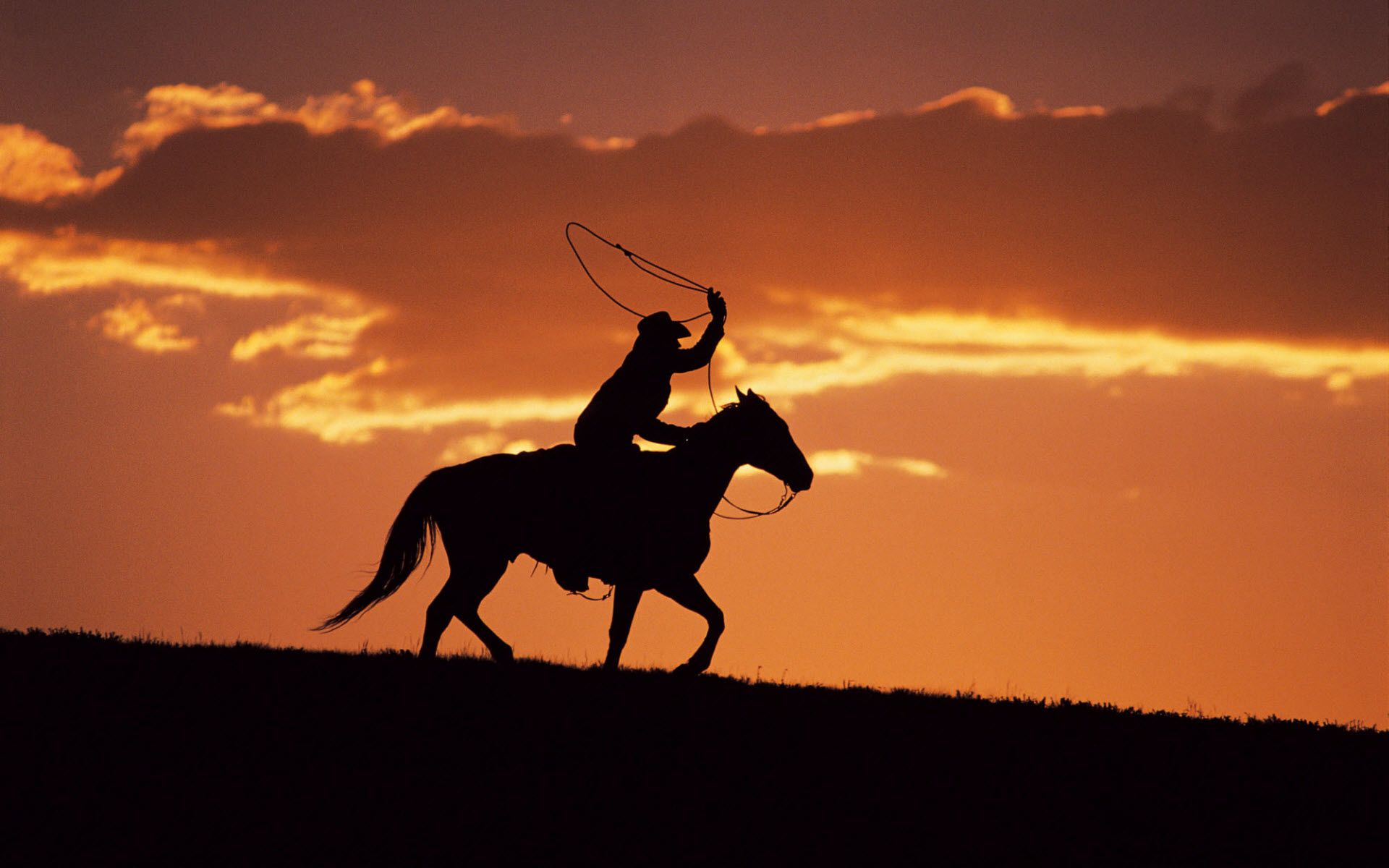 Fantasy Men Horse Riding
 Wallpapers