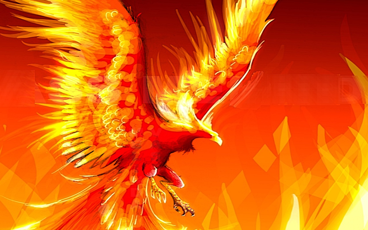 Fantasy Phoenix Wallpapers