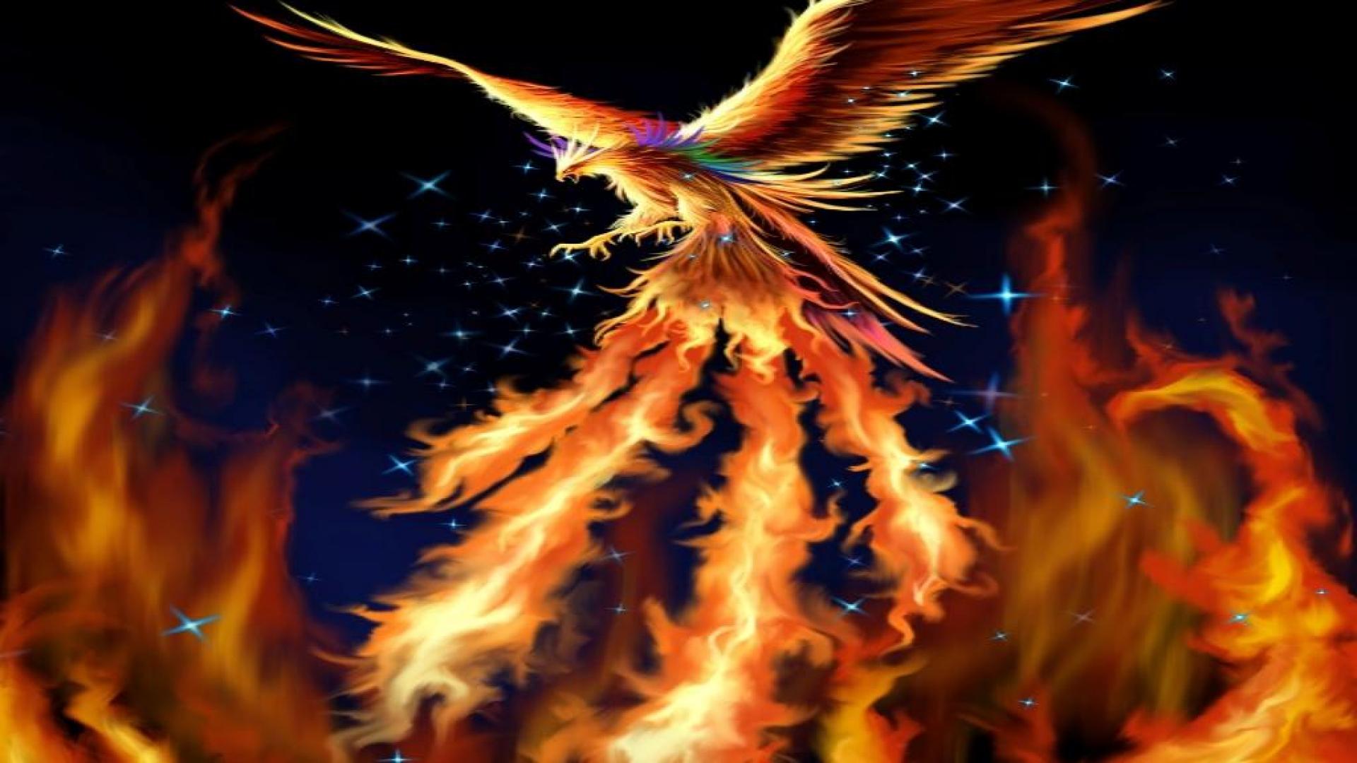 Fantasy Phoenix Wallpapers