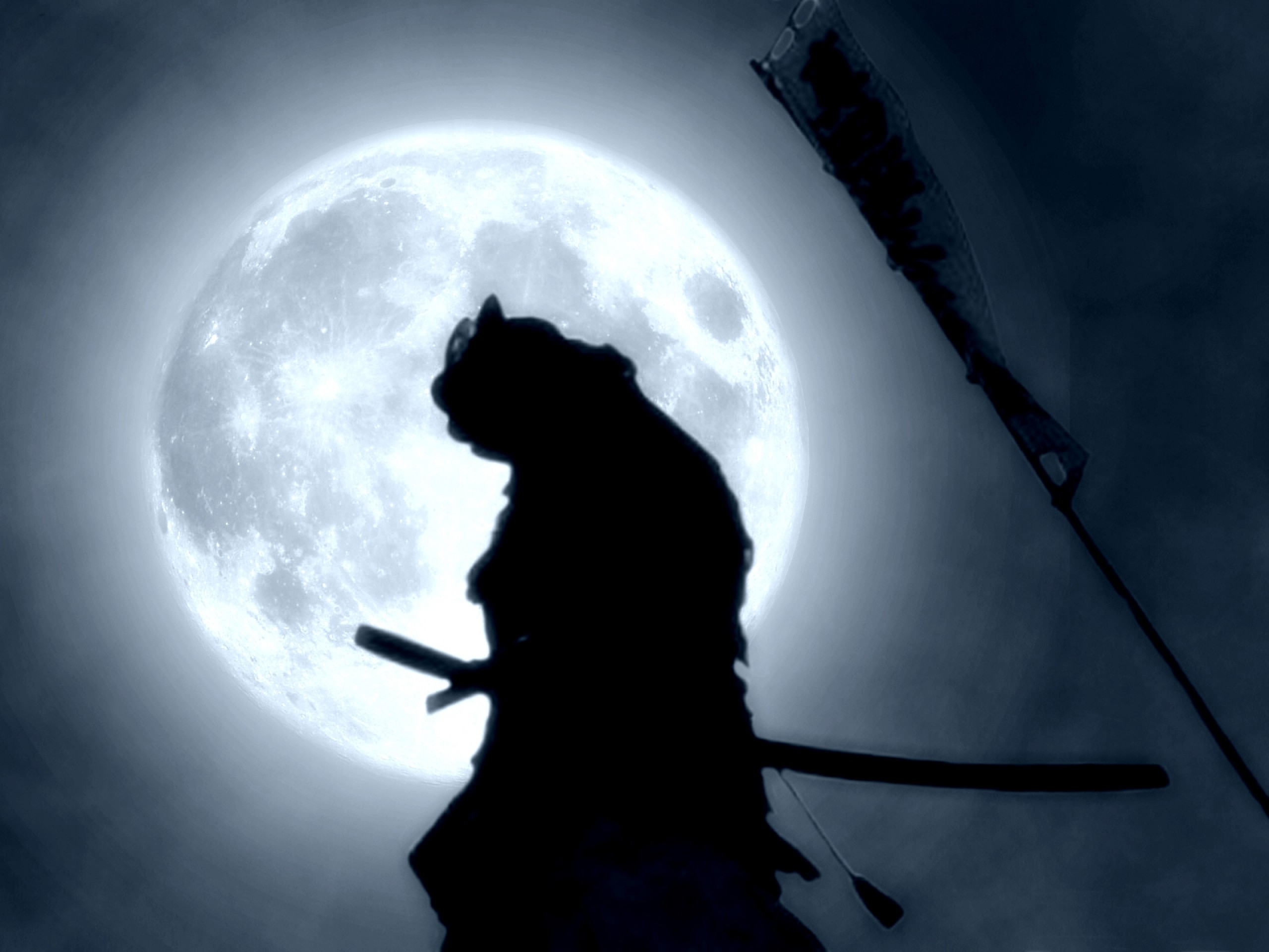 Fantasy Samurai Wallpapers