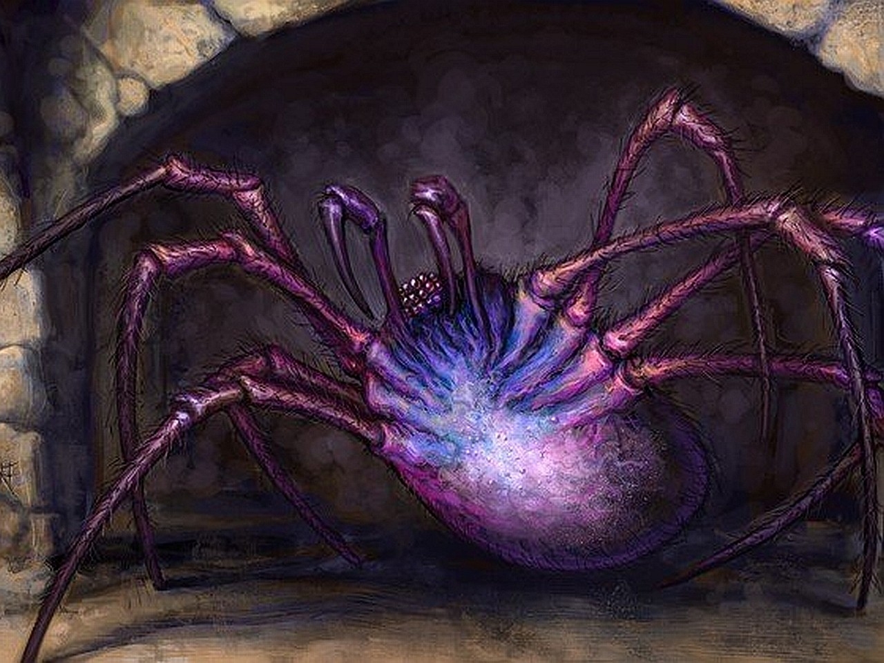 Fantasy Spider Wallpapers