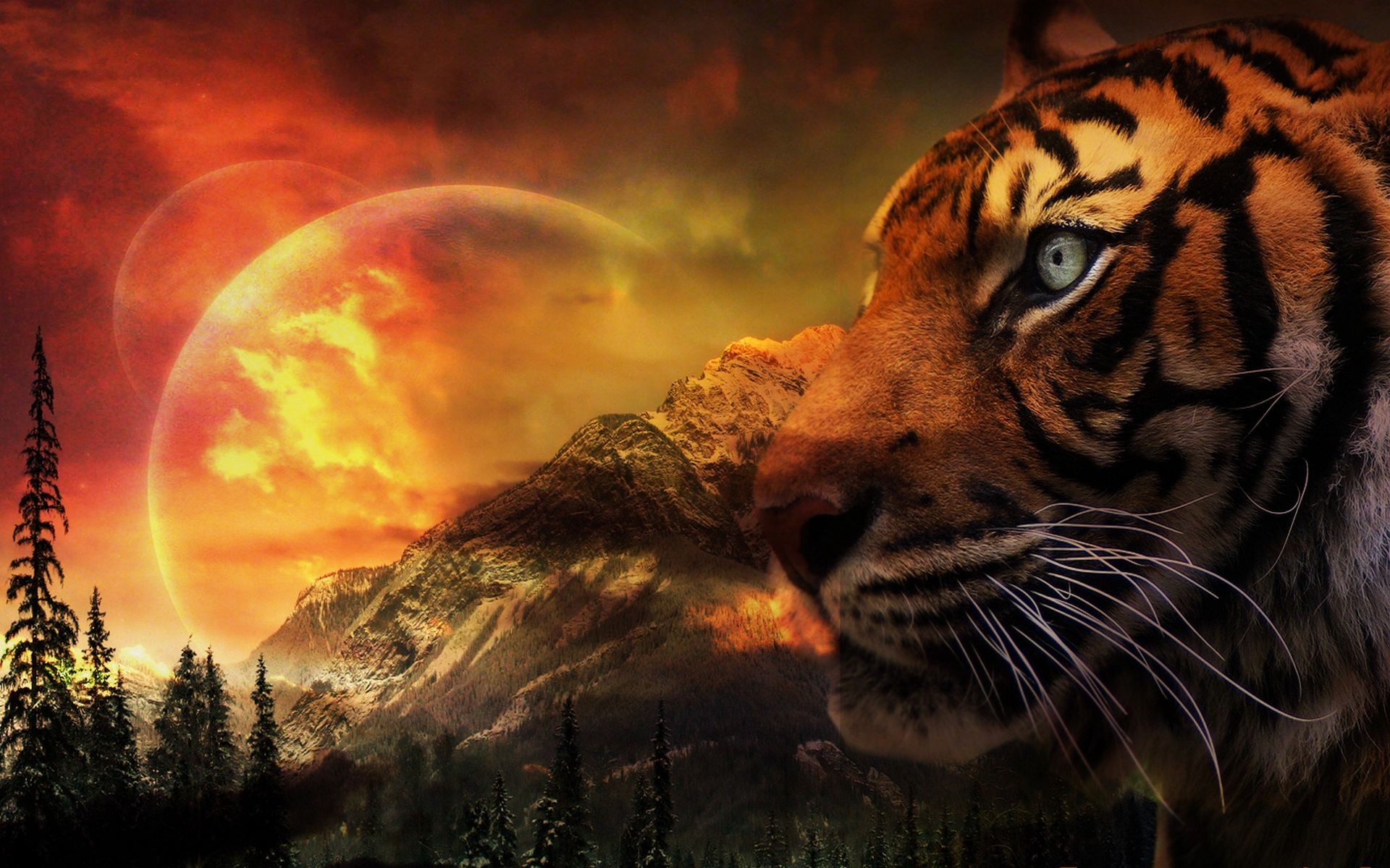 Fantasy Tiger Wallpapers