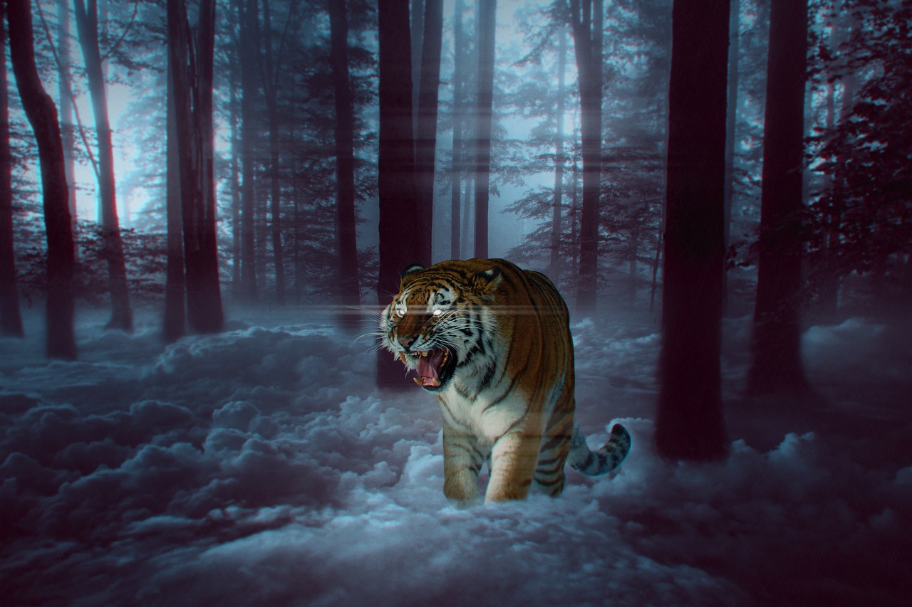 Fantasy Tiger Wallpapers