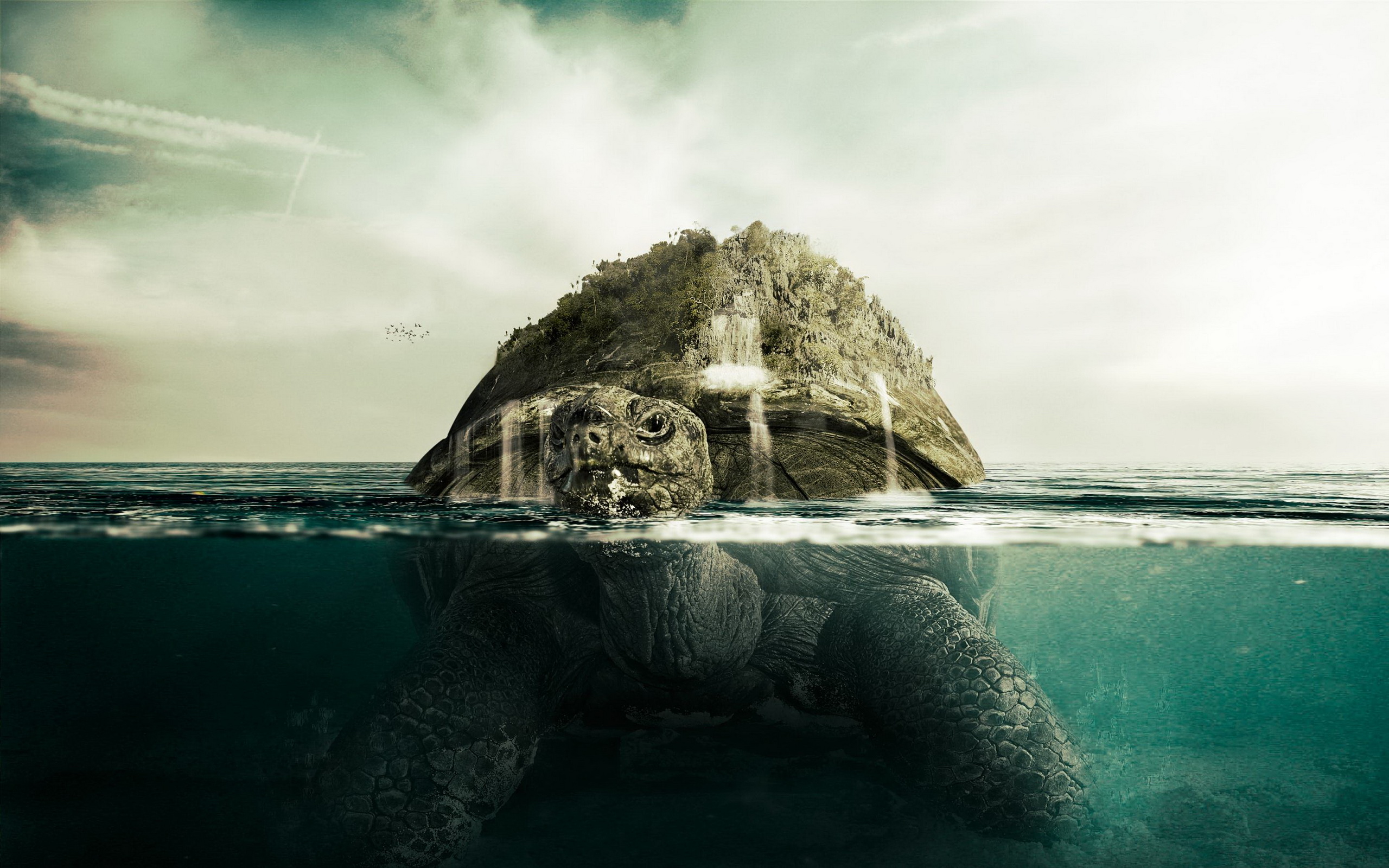 Fantasy Turtle Wallpapers