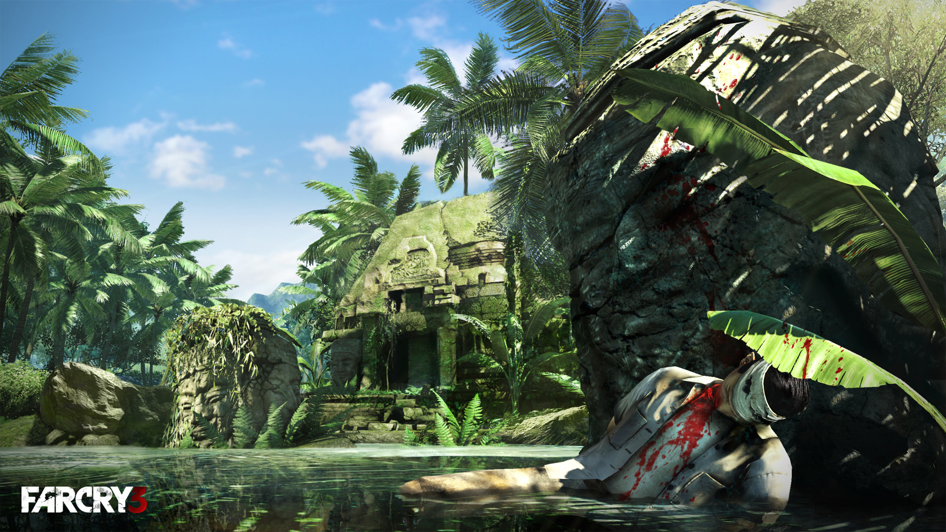 Far Cry 3 Wallpapers