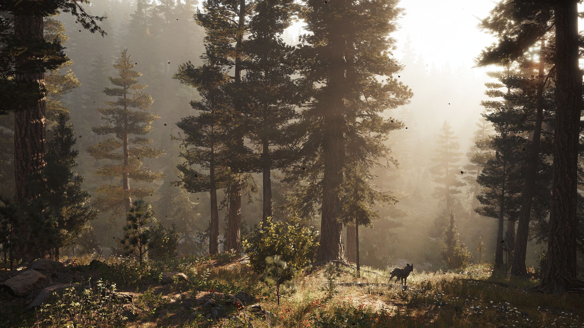 Far Cry 5 Nature View Wallpapers
