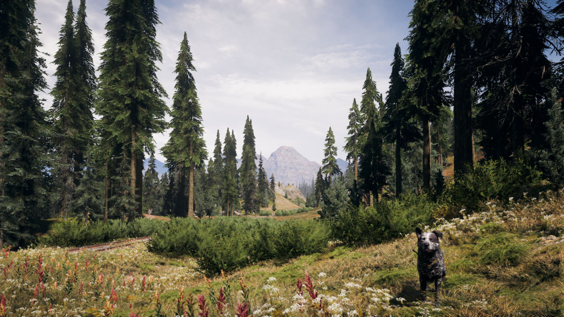 Far Cry 5 Nature View Wallpapers