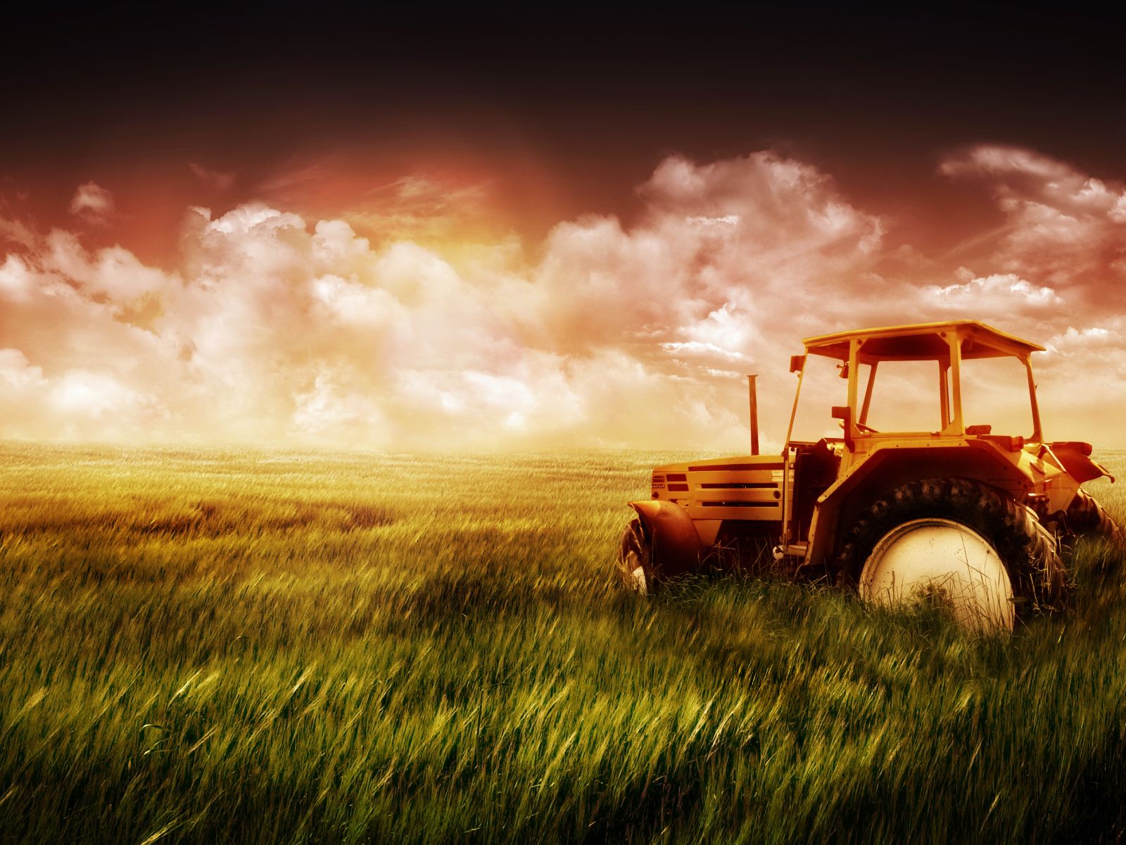 Farmall Tractor Wallpapers