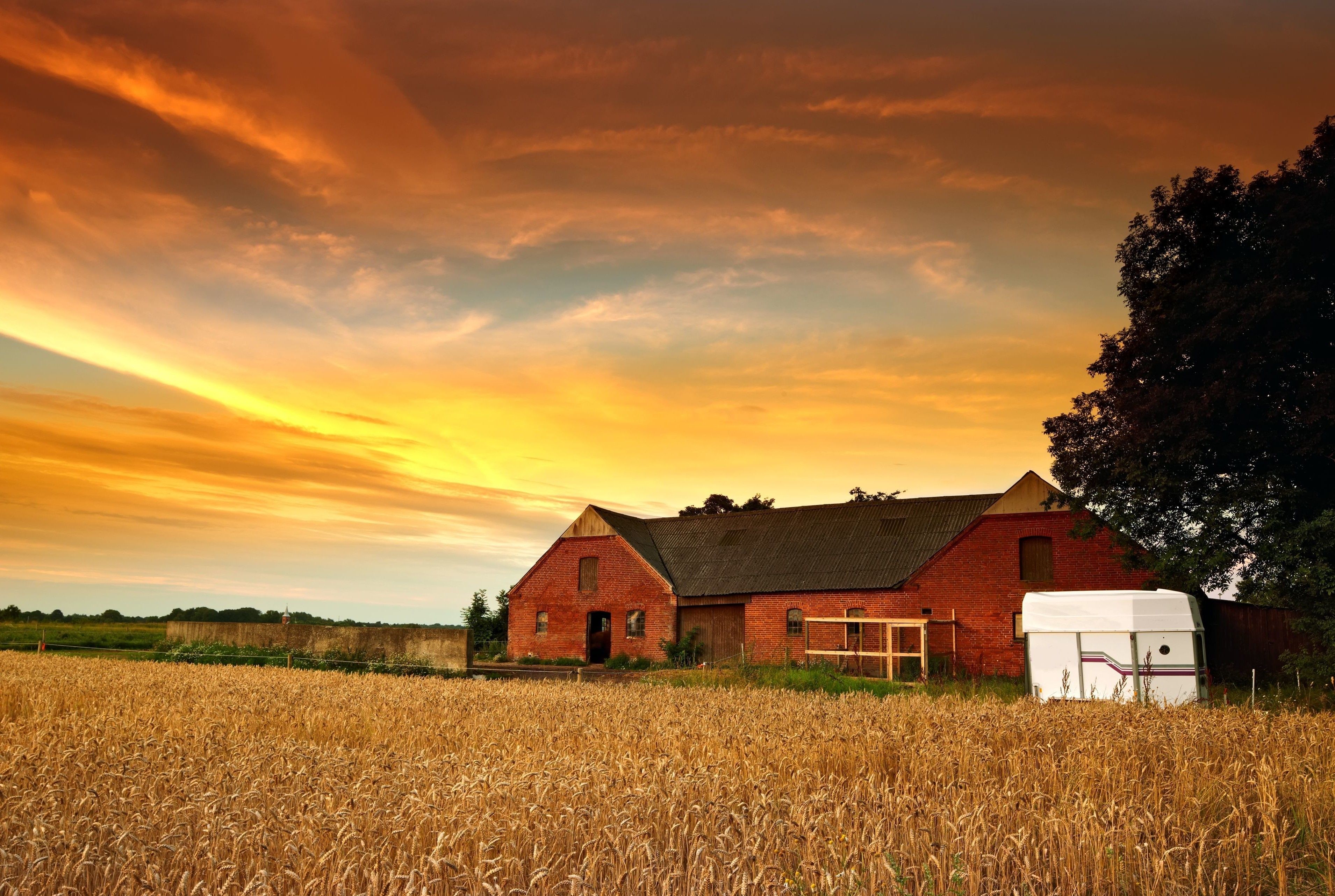 Farmhouse Field Wallpapers