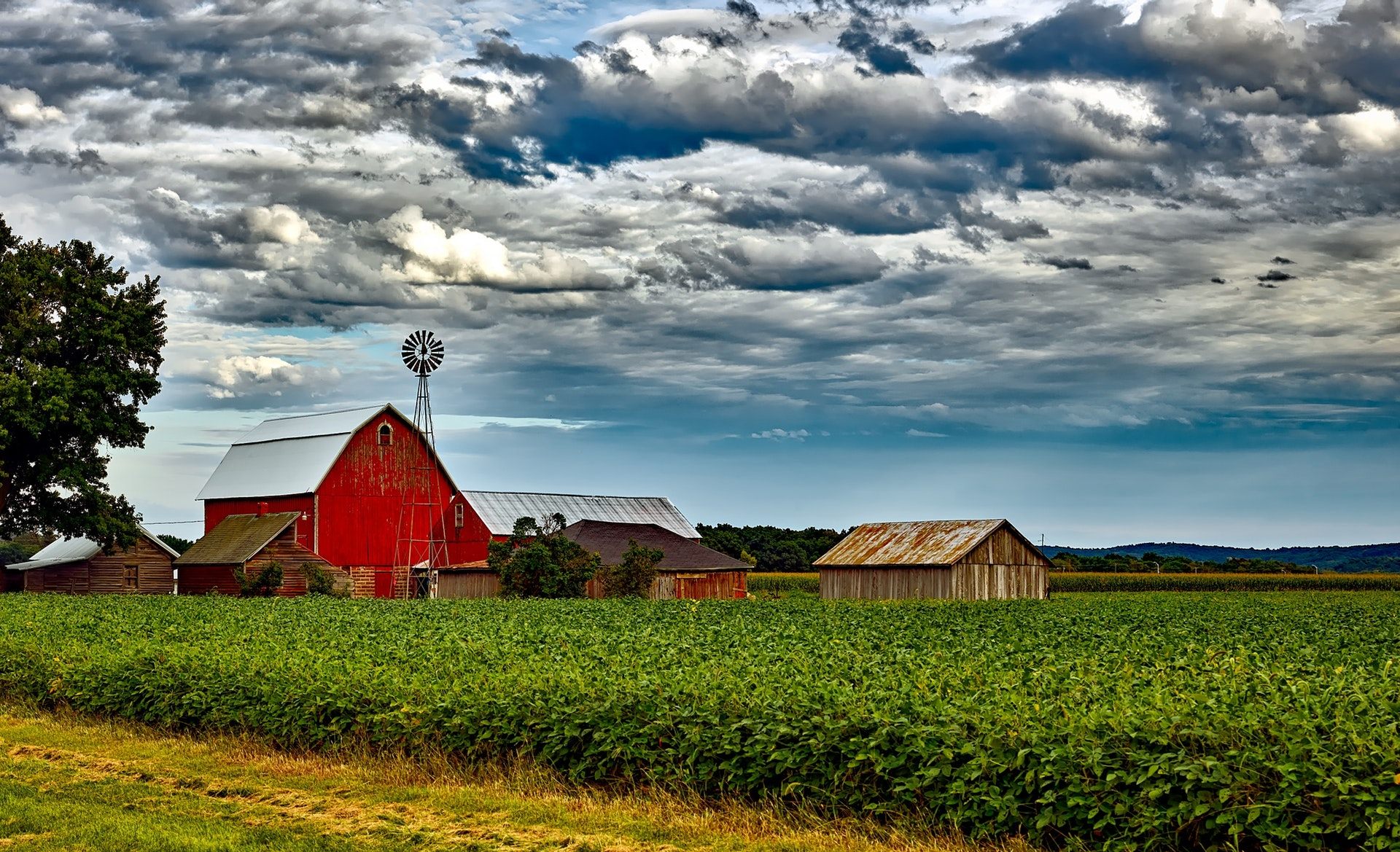 Farmhouse Field Wallpapers