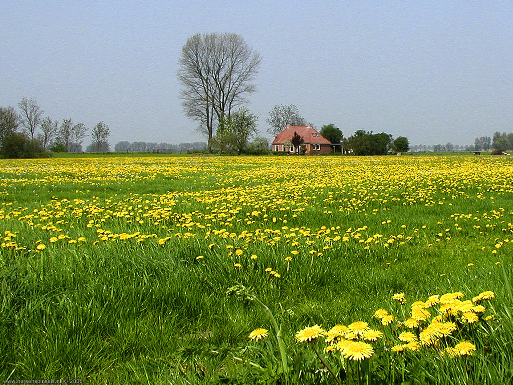 Farmhouse Field Wallpapers