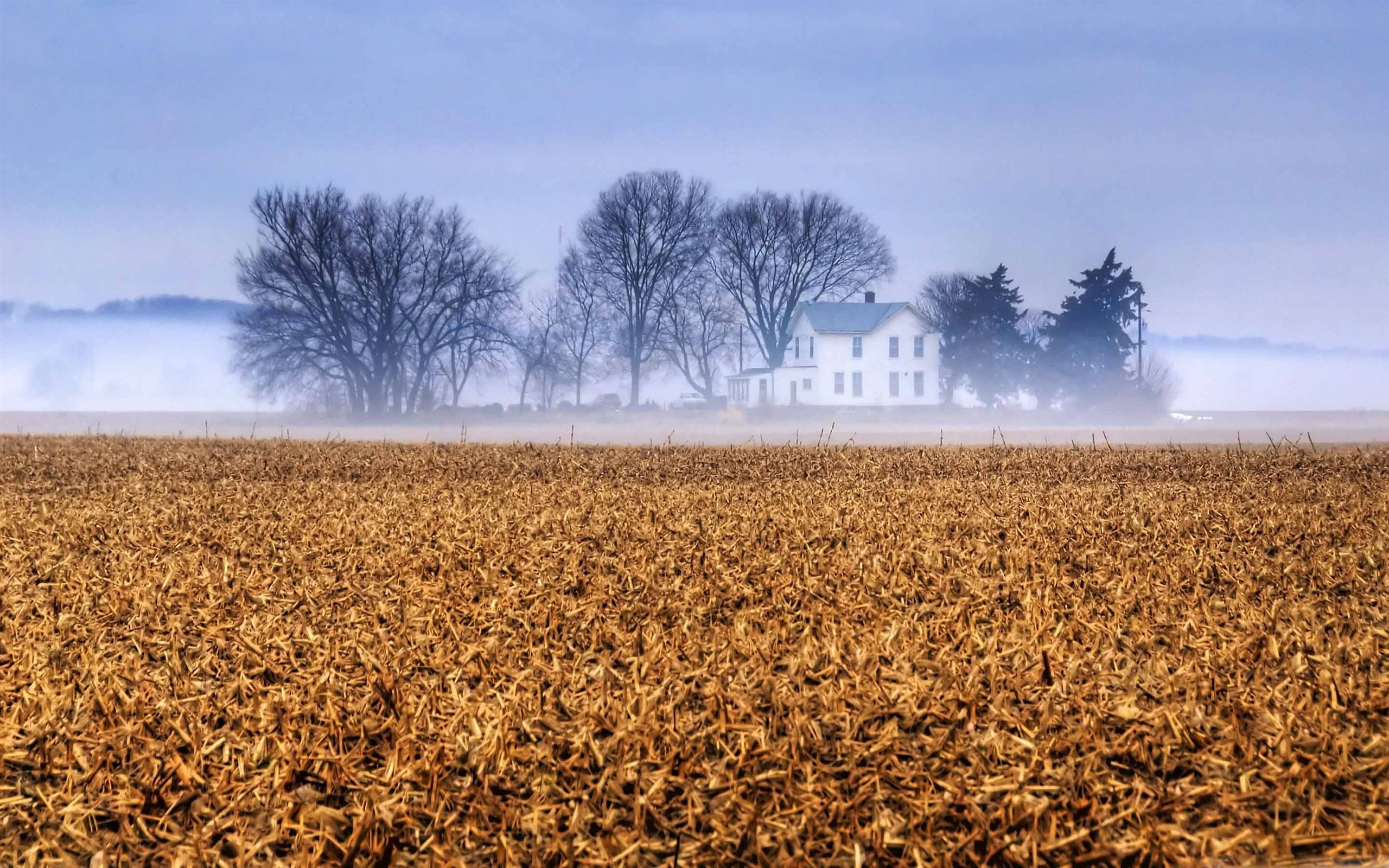 Farmhouse Field Wallpapers