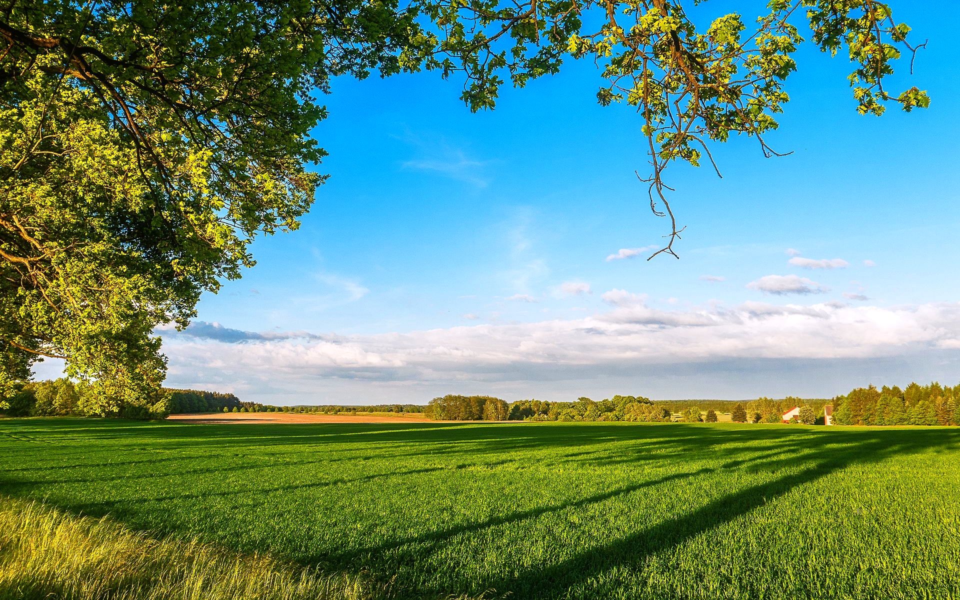 Farmhouse Field Wallpapers