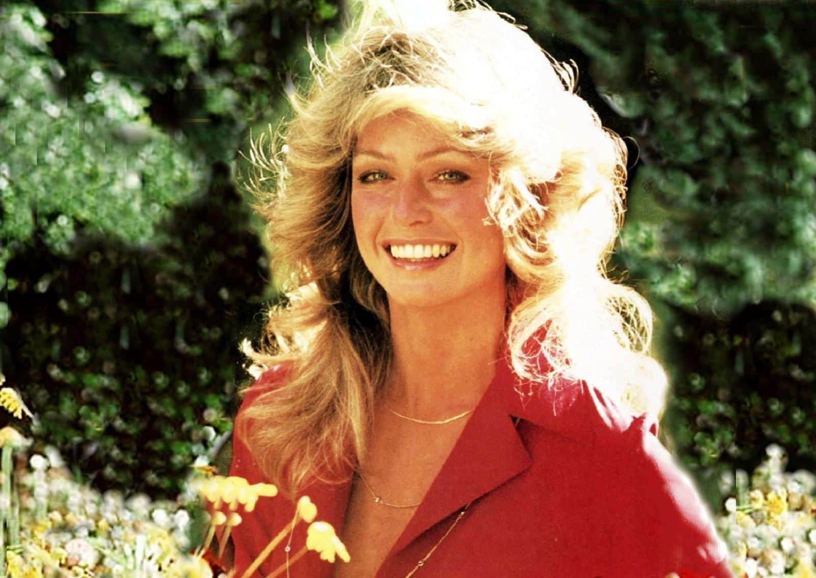 Farrah Fawcett Wallpapers