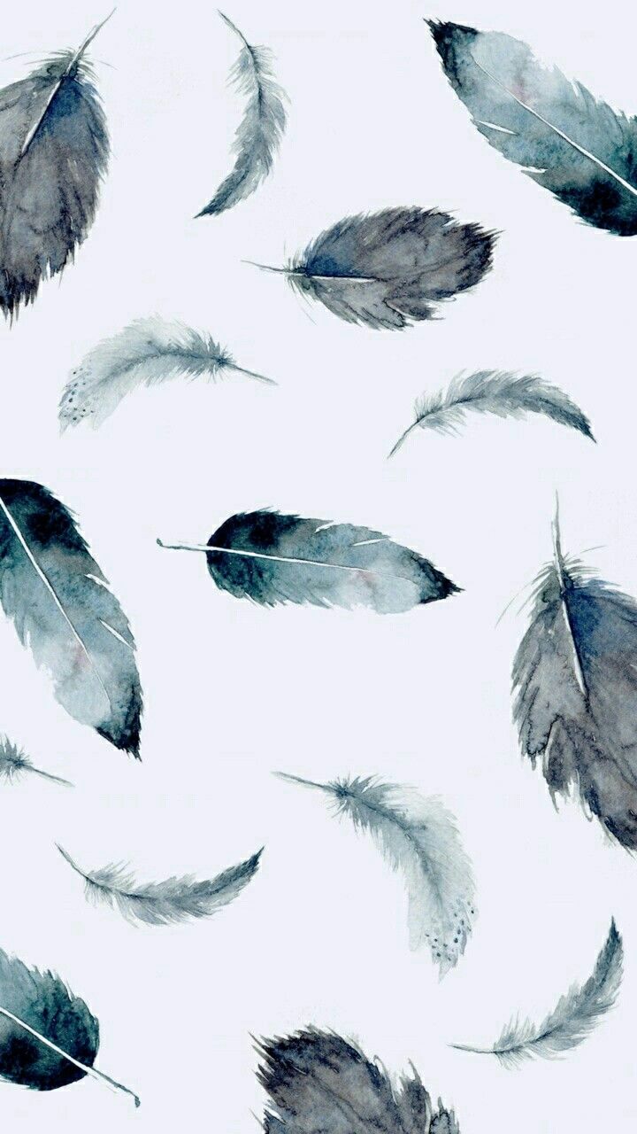 Feather Wallpapers