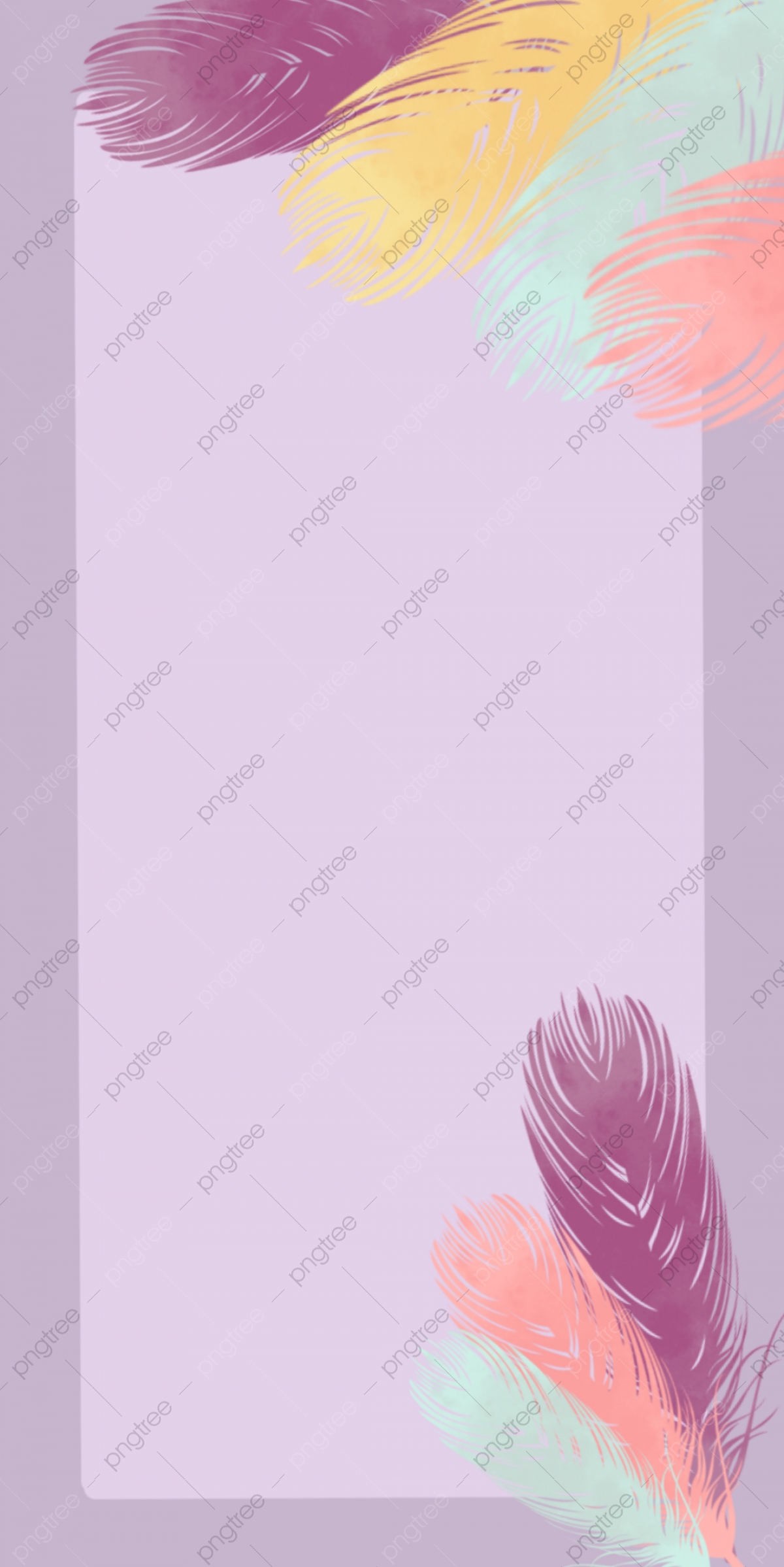 Feather Wallpapers