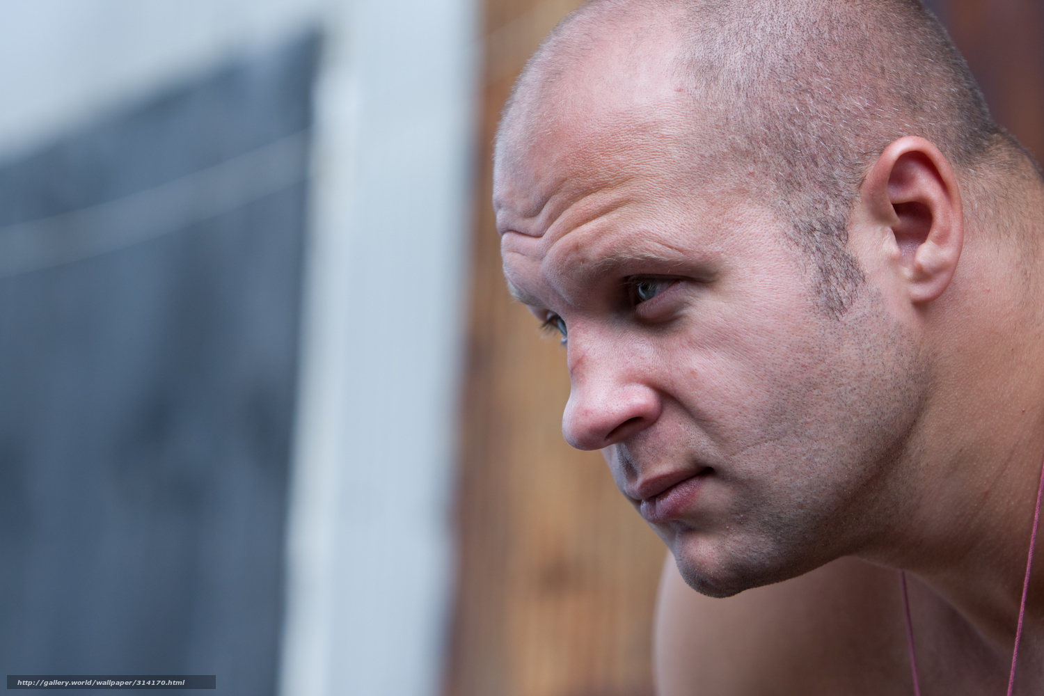 Fedor Emelianenko Wallpapers