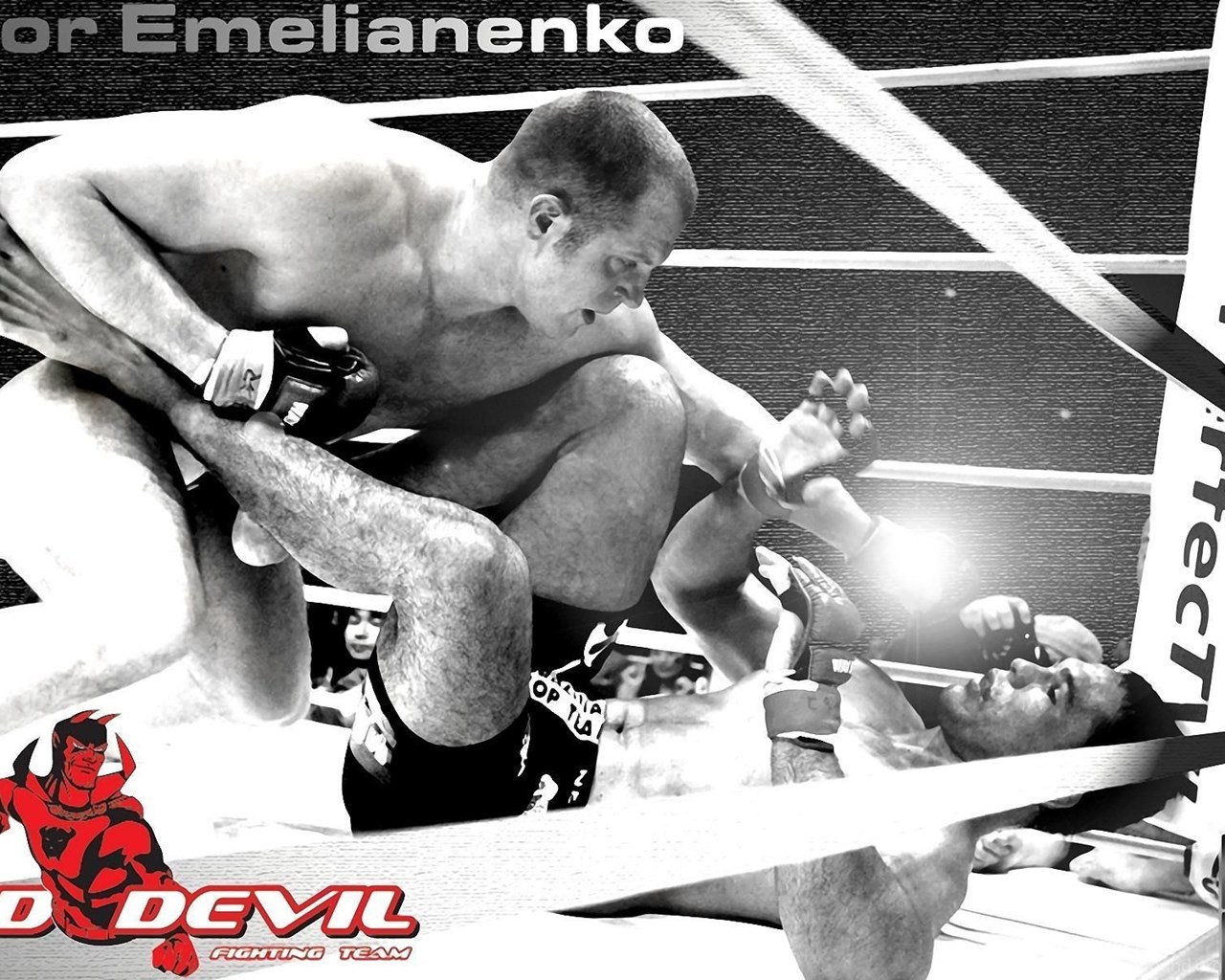 Fedor Emelianenko Wallpapers