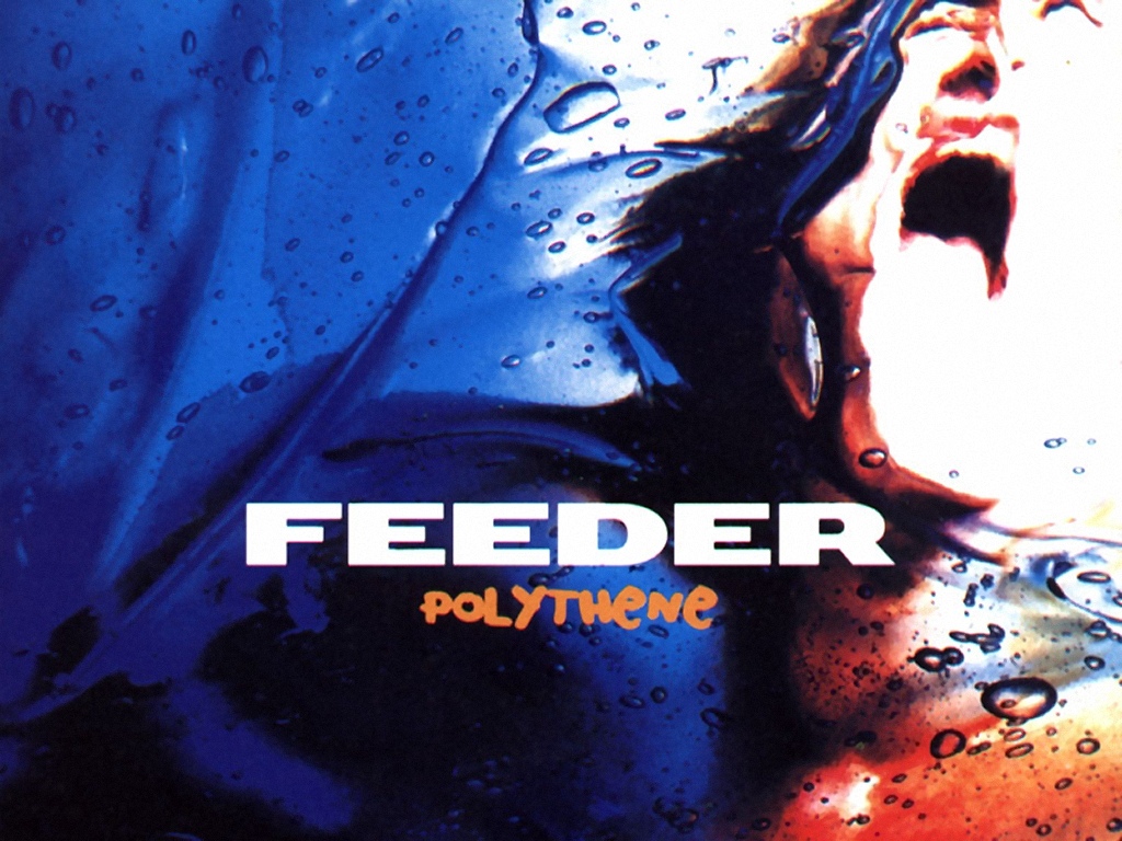 Feeder Wallpapers