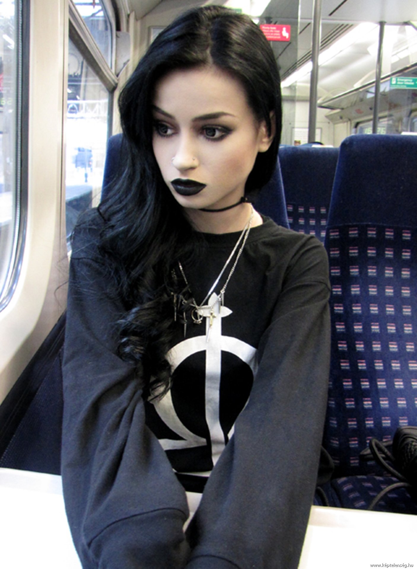 Felice Fawn Wallpapers