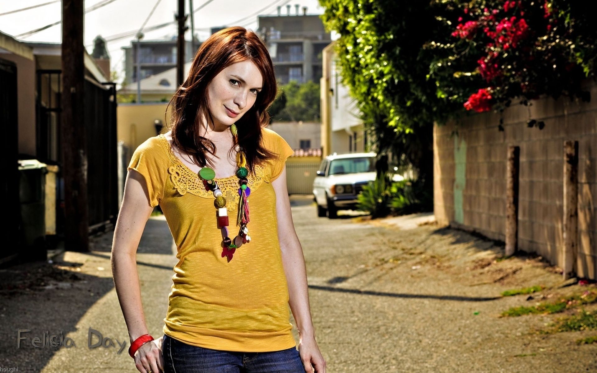 Felicia Day Wallpapers