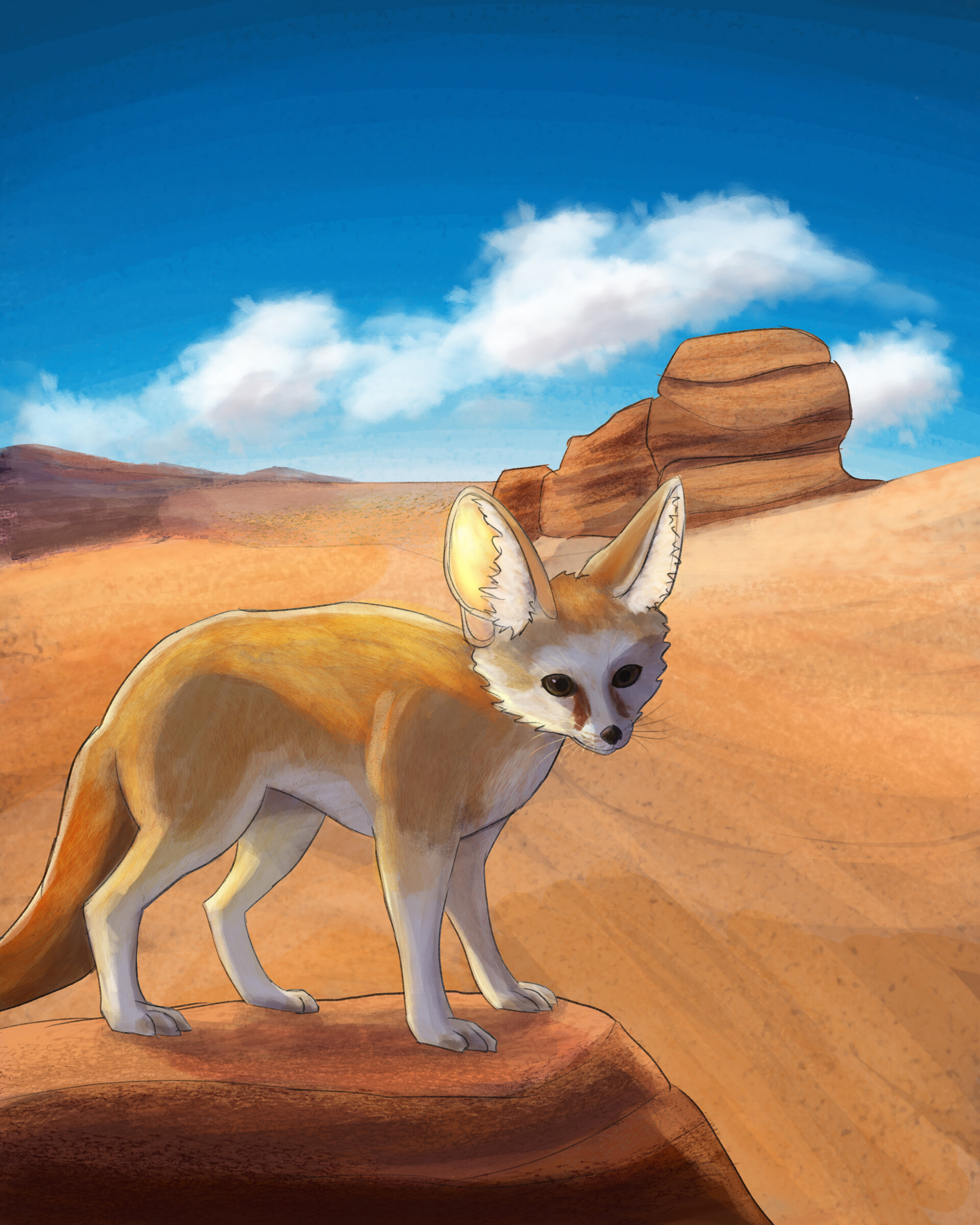 Fennec Fox Wallpapers