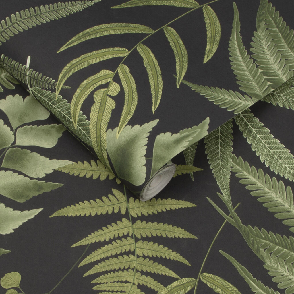 Fern Wallpapers