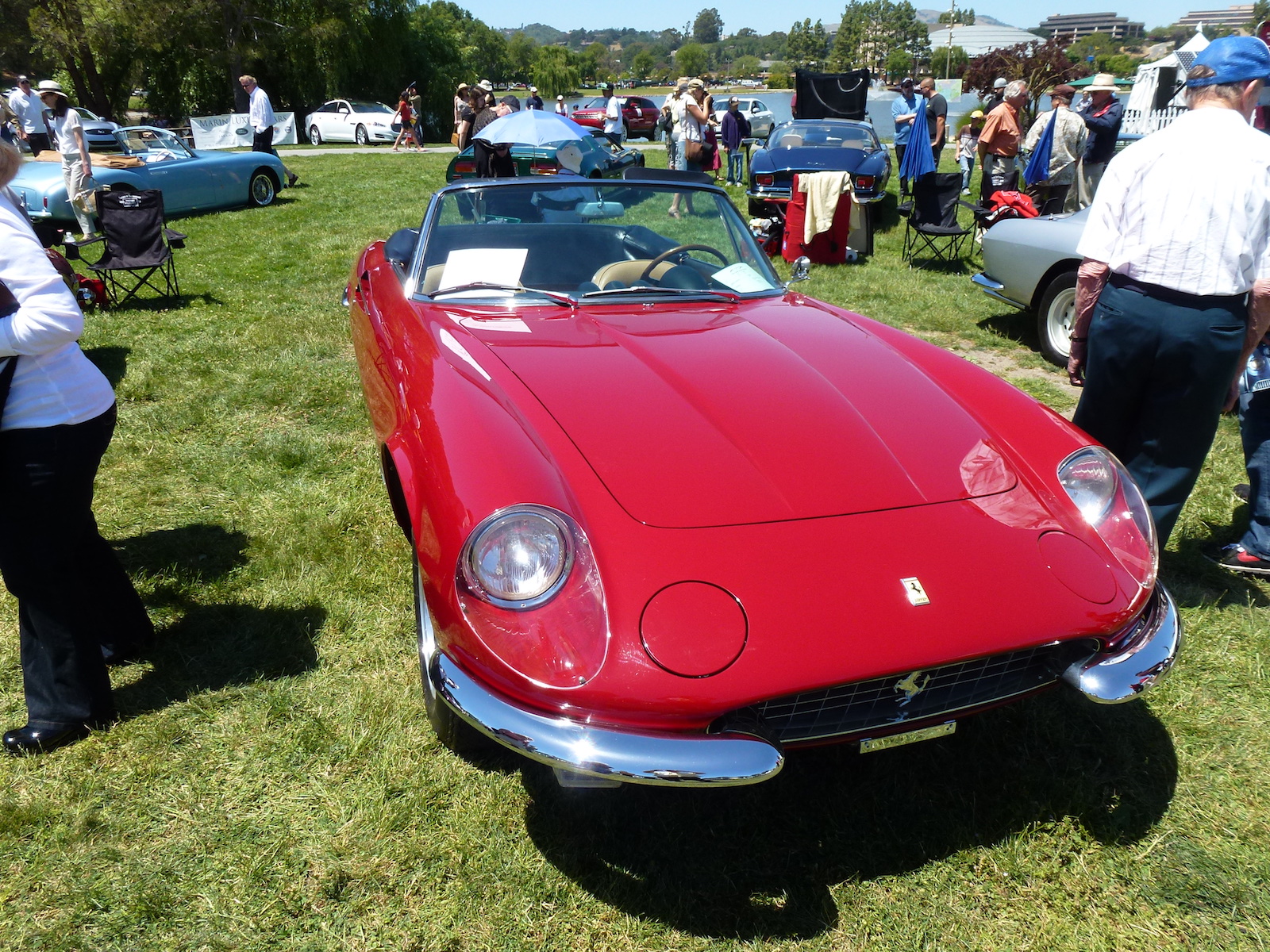 Ferrari 365 California Wallpapers