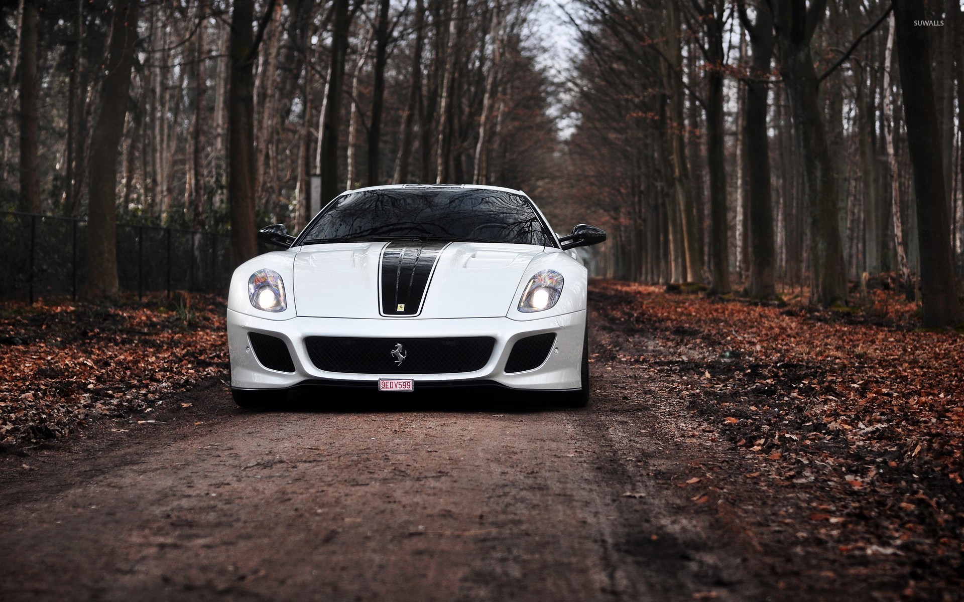 Ferrari 599 Gto Wallpapers