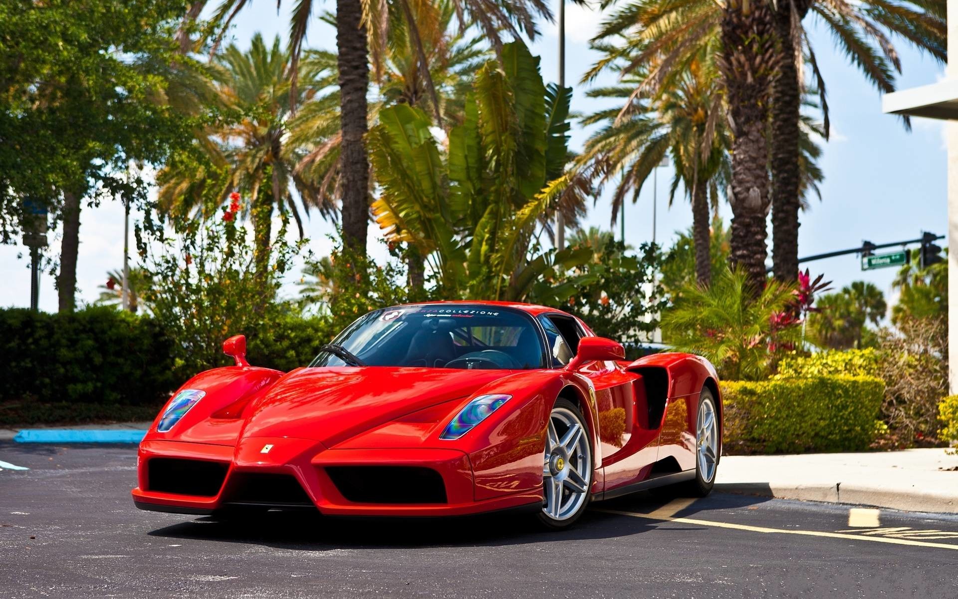 Ferrari Enzo Zxx Wallpapers