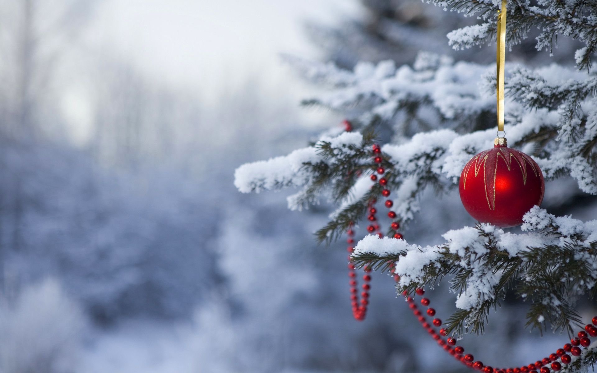 Festive Backgrounds