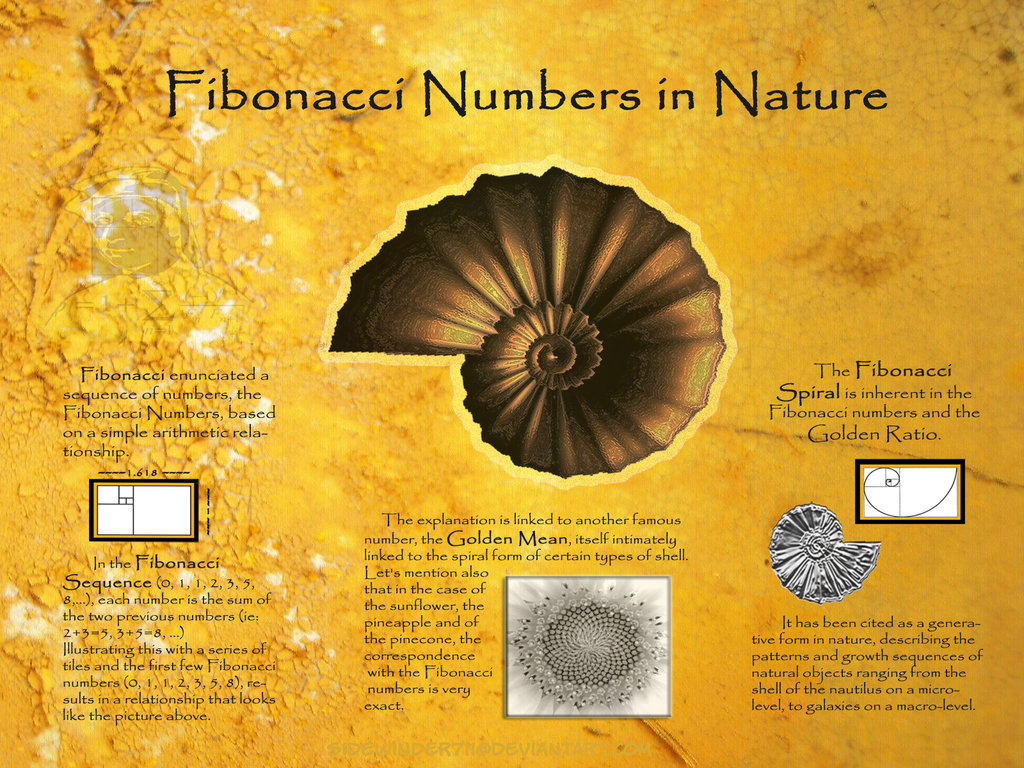 Fibonacci Sequence Wallpapers