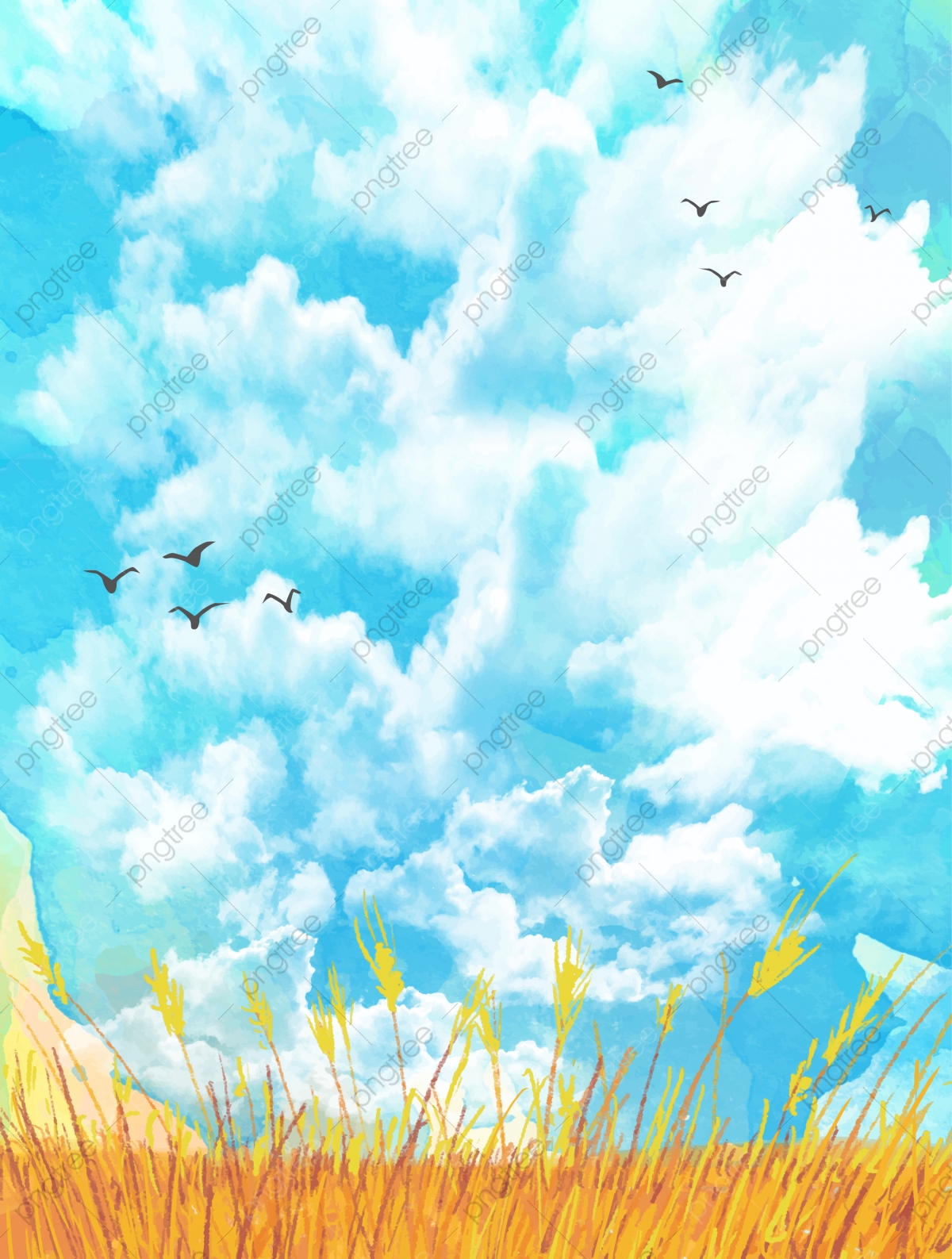 Field And Sky Background