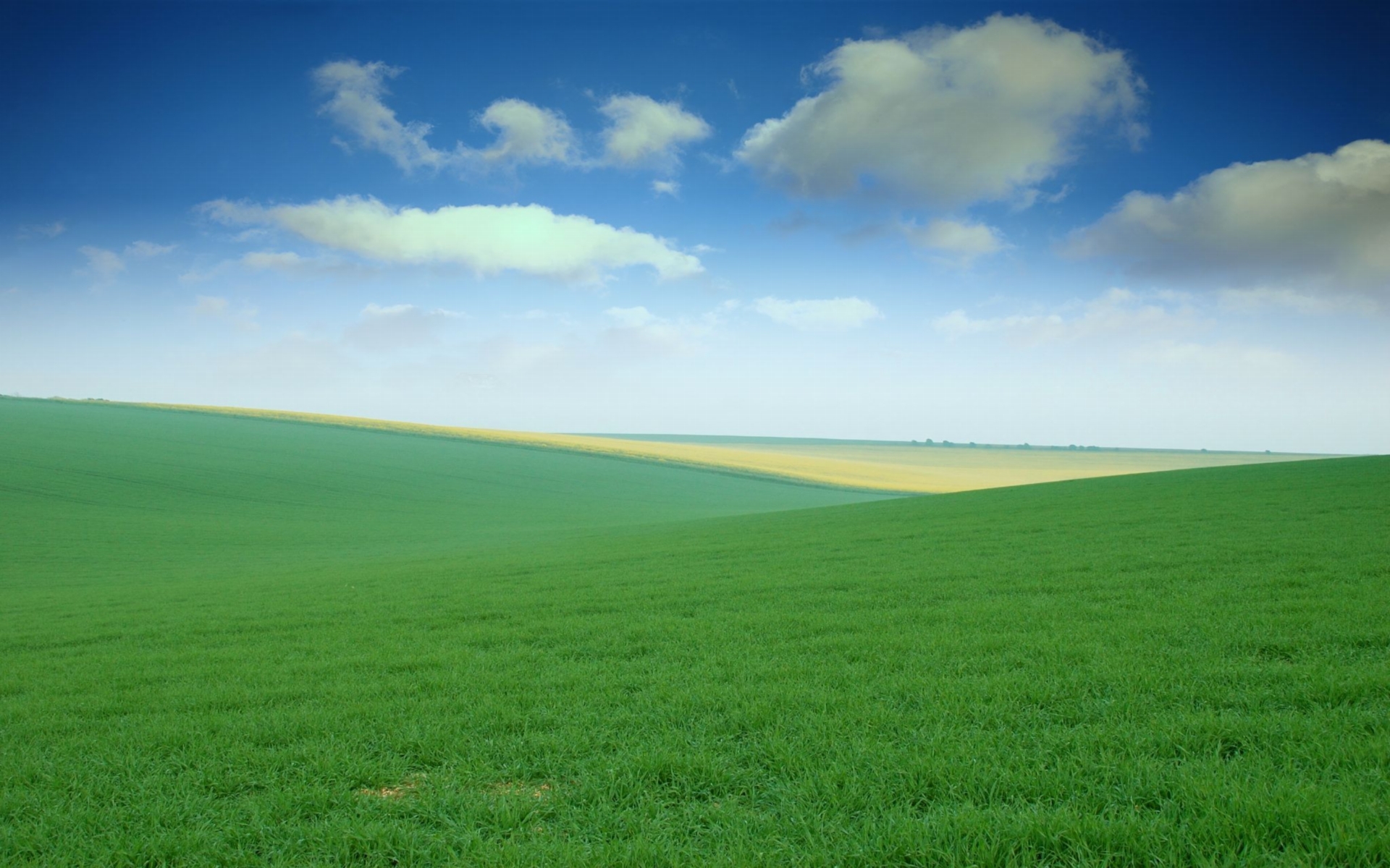 Field Background