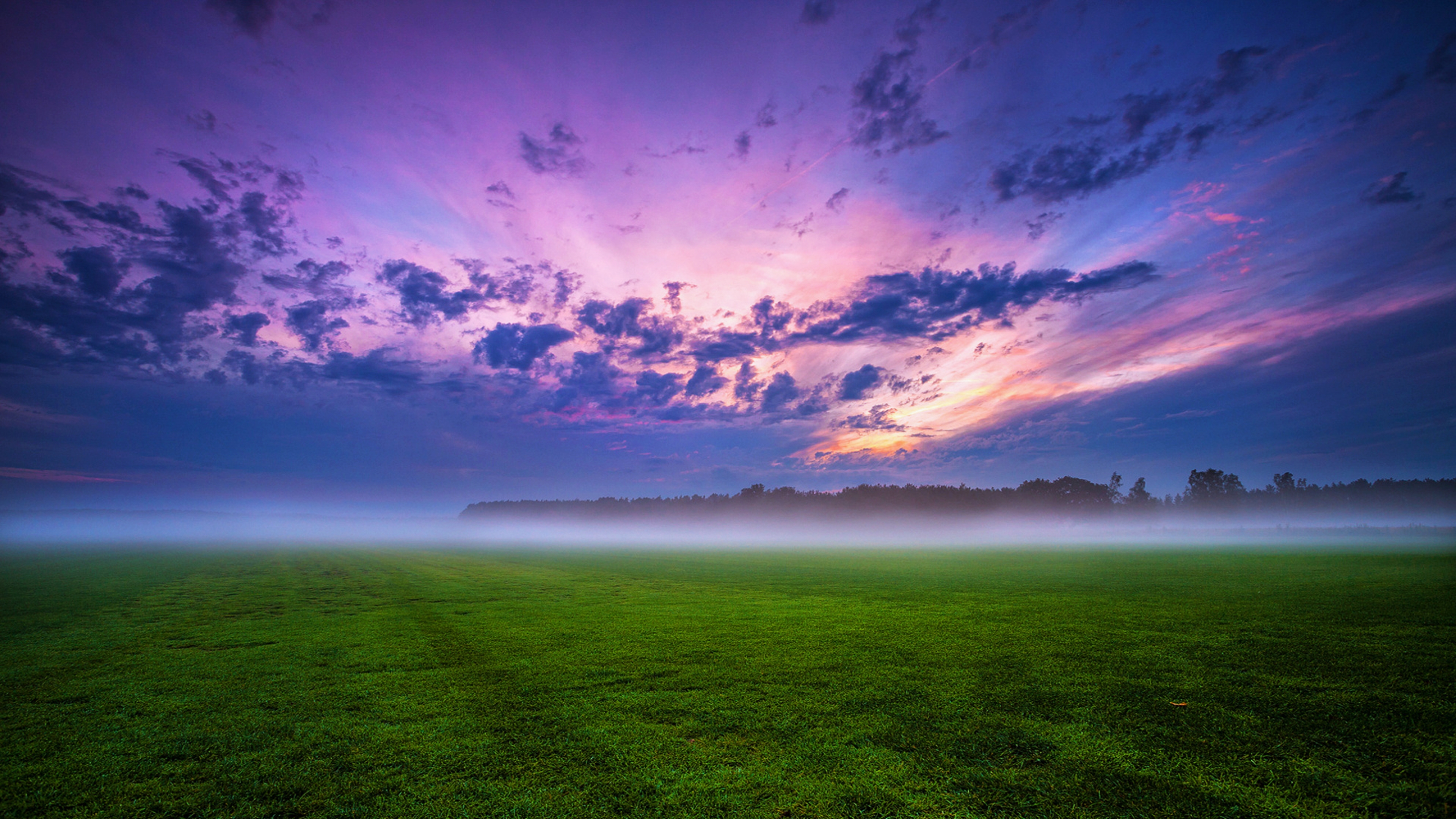 Field Background