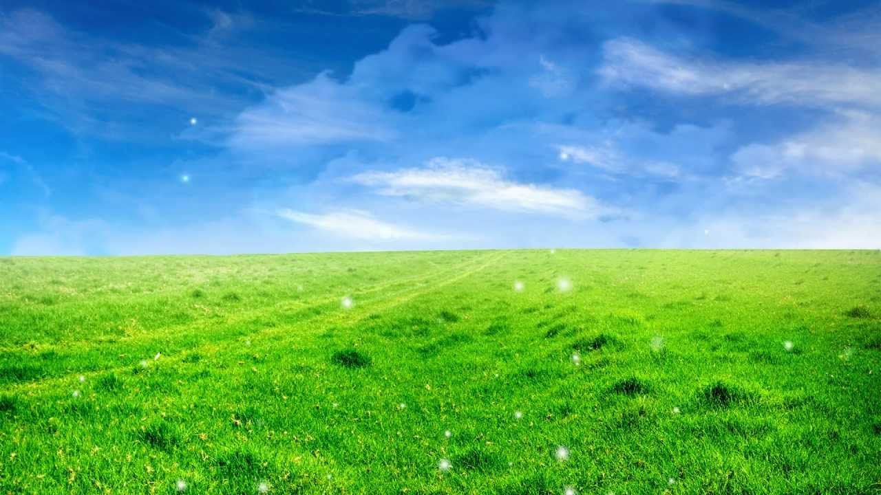 Field Background