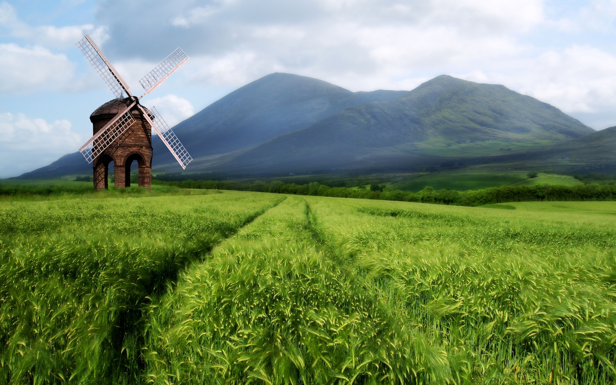 Field Background