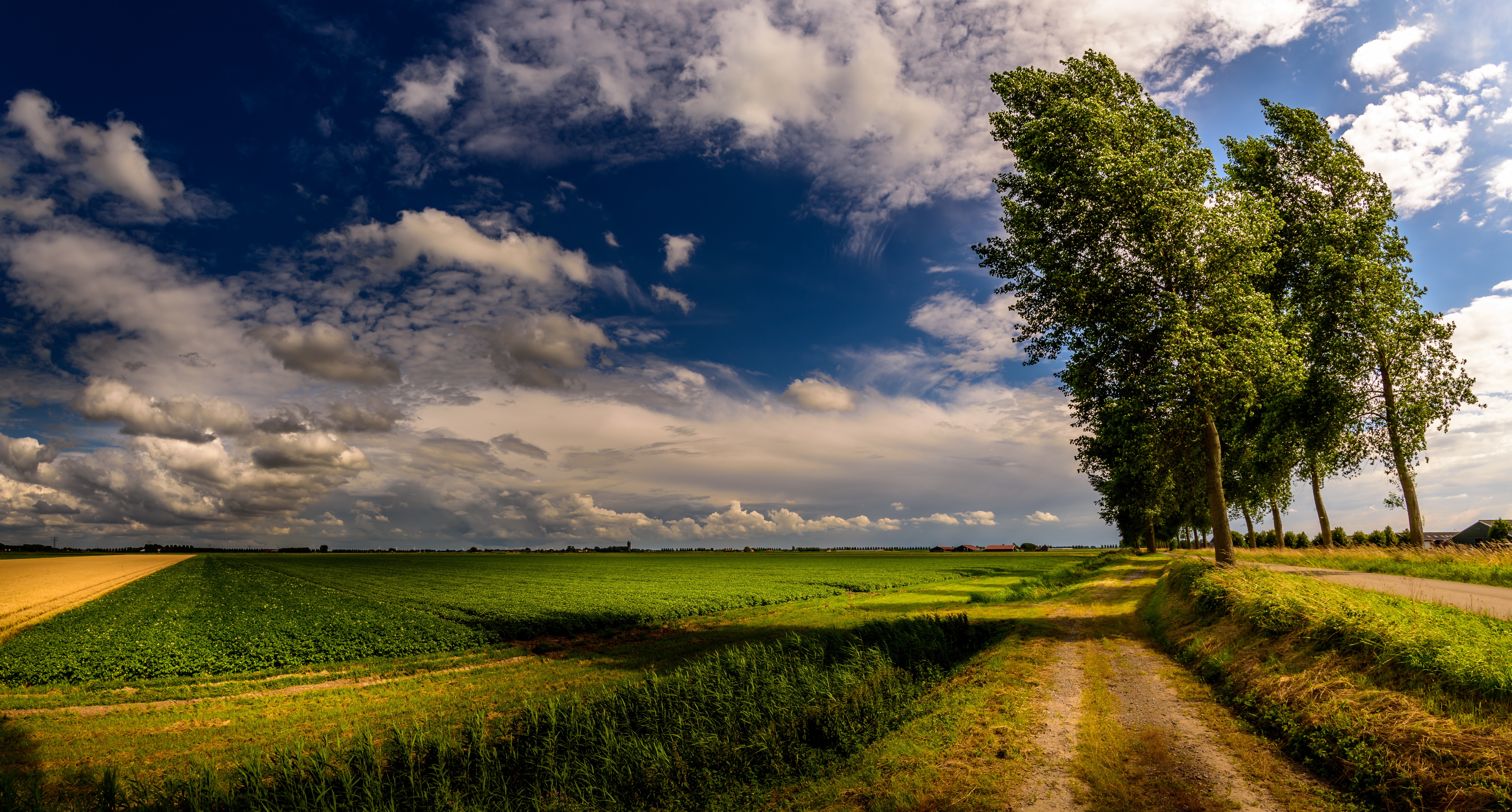 Field Background