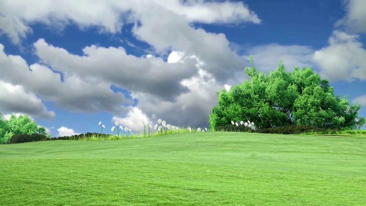 Field Of Grass Background