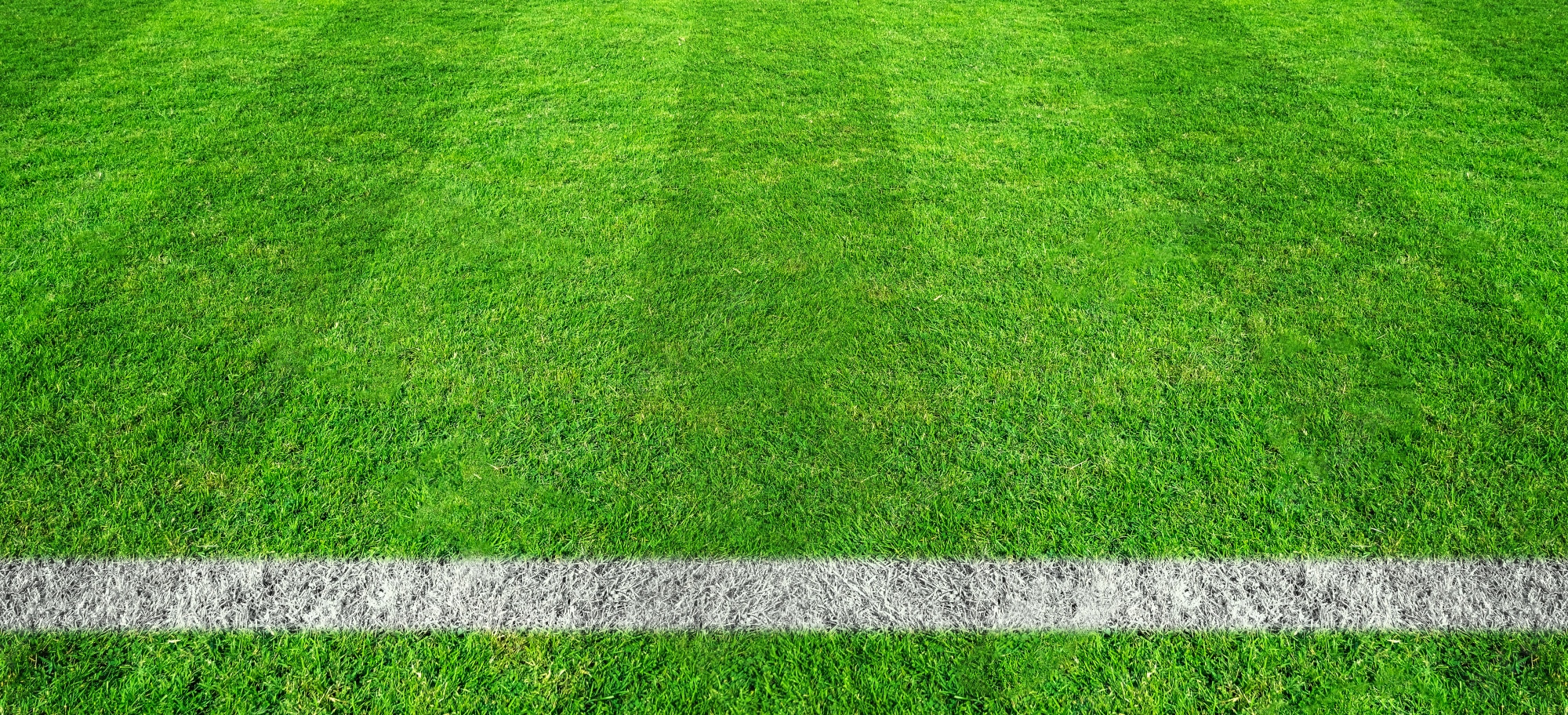 Field Of Grass Background