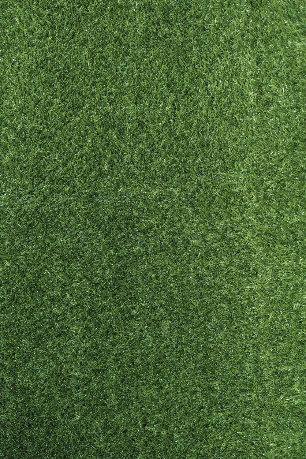 Field Of Grass Background