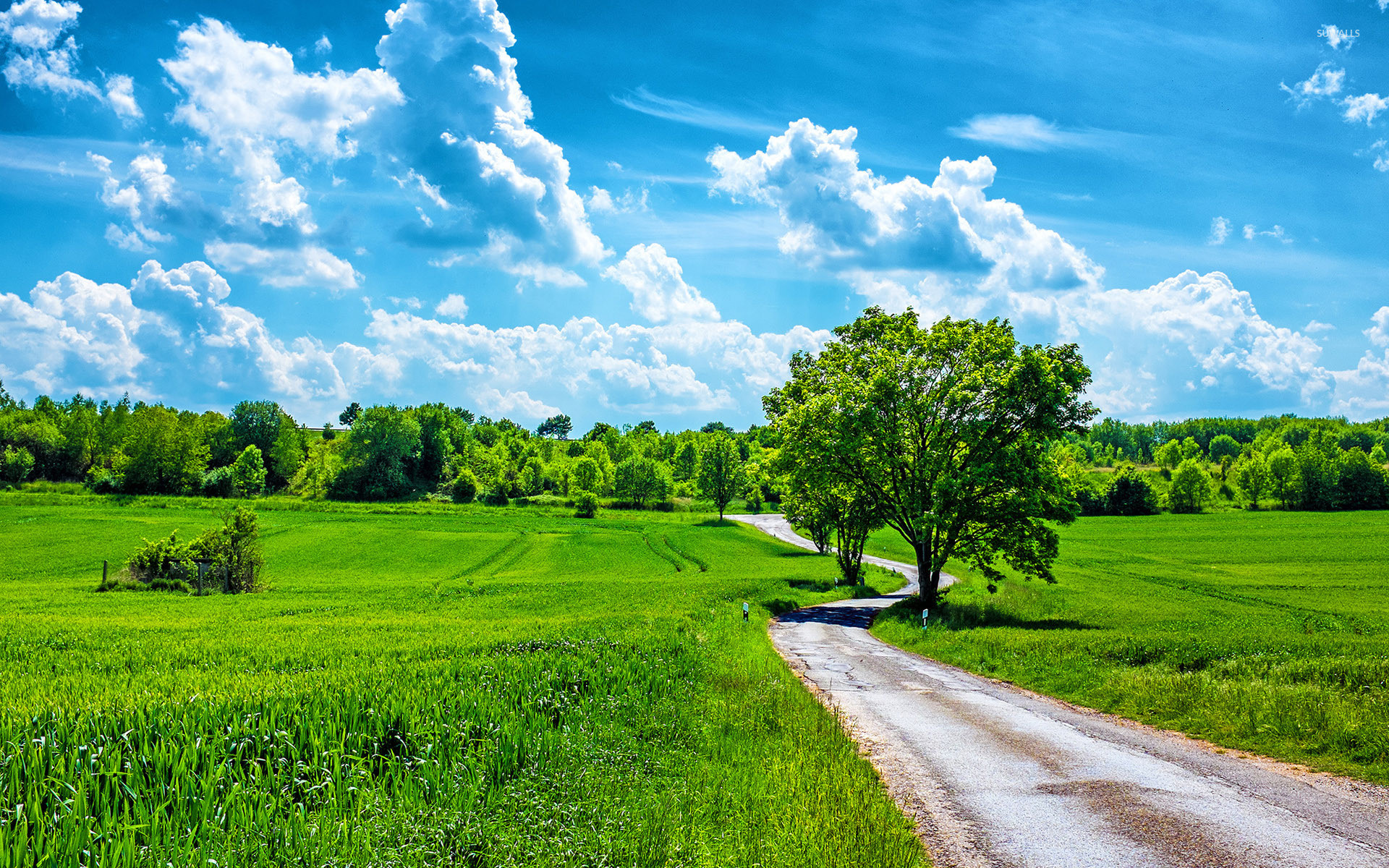 Field Summer Nature Cloud Wallpapers