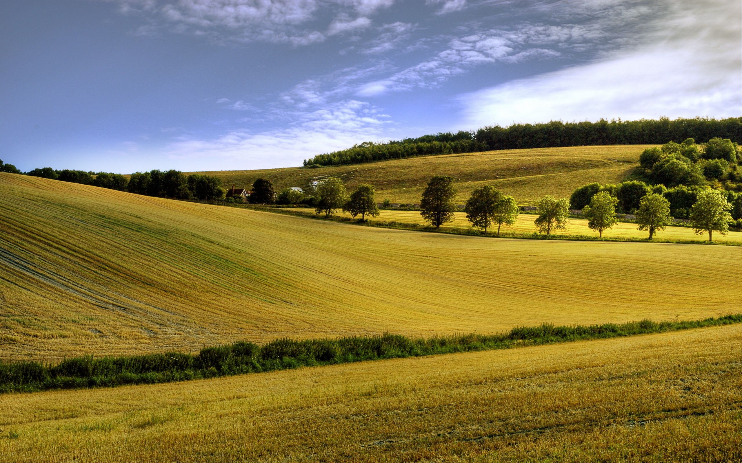 Field Summer Nature Cloud Wallpapers