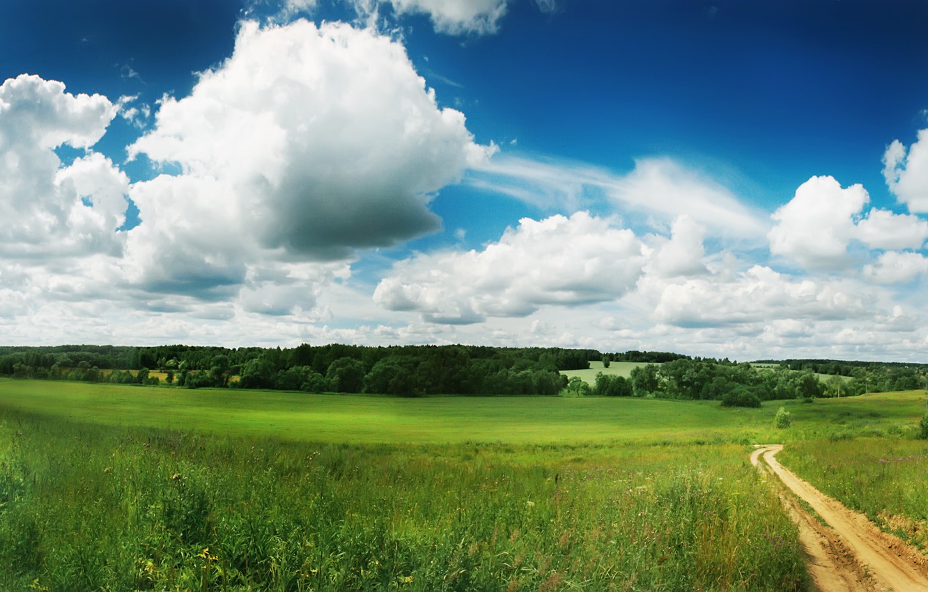 Field Summer Nature Cloud Wallpapers