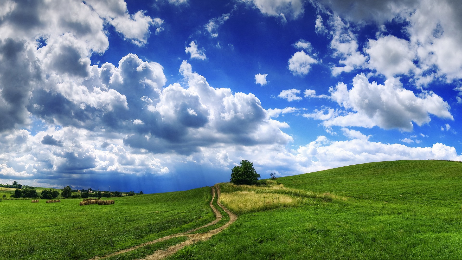 Field Summer Nature Cloud Wallpapers