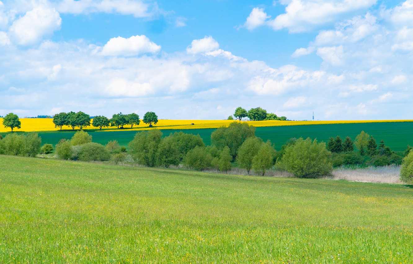 Field Summer Nature Cloud Wallpapers