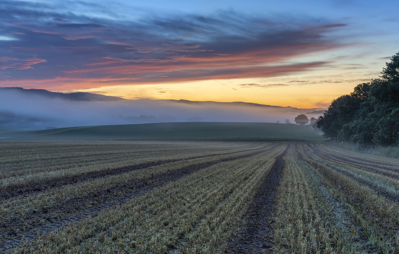 Field Summer Sunset Wallpapers