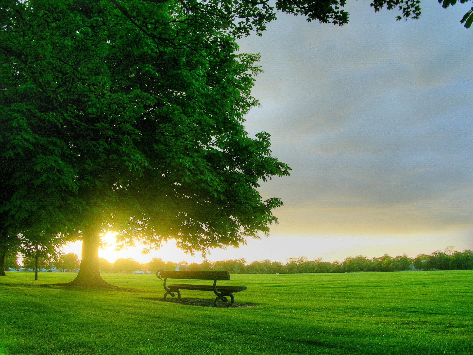 Field Sunrise Wallpapers