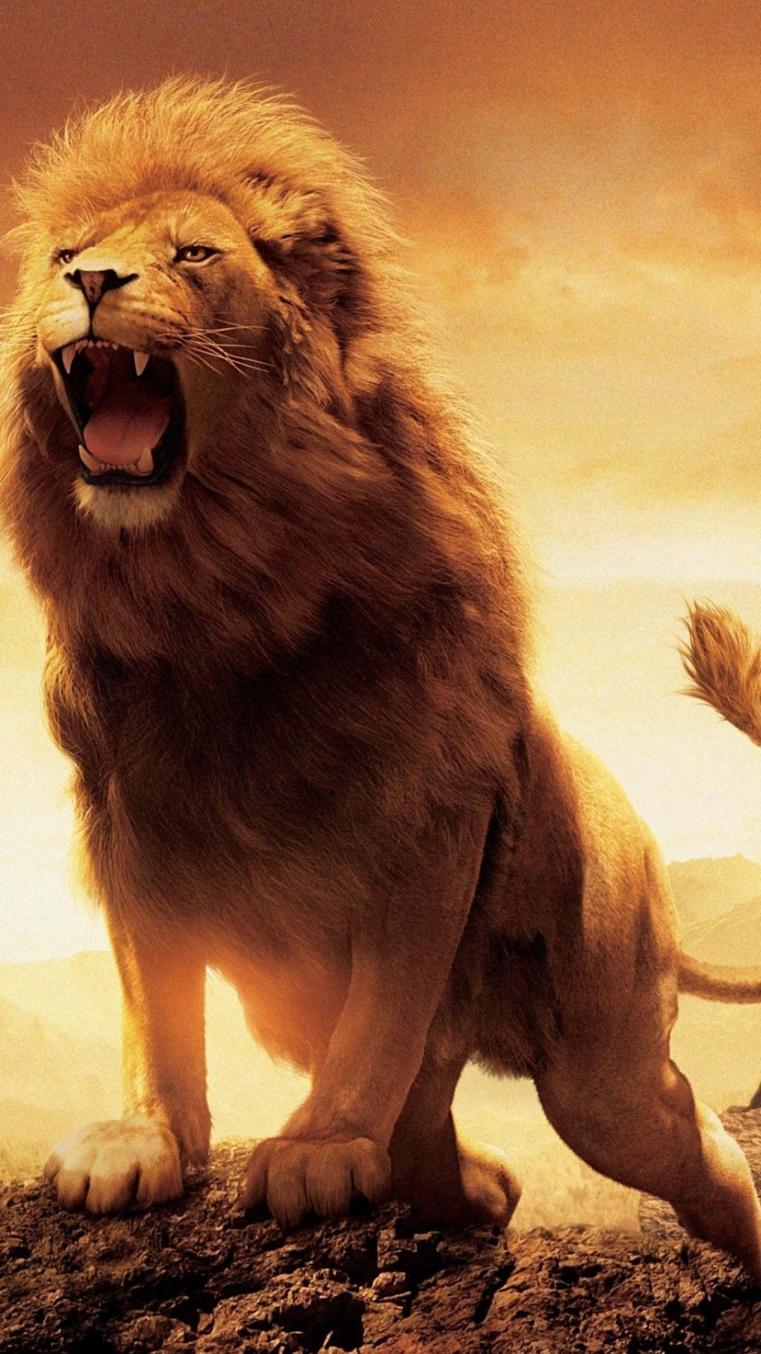 Fierce Lion Wallpapers