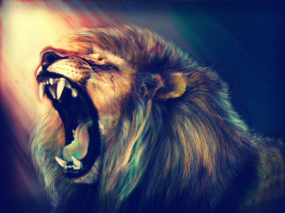 Fierce Lion Wallpapers